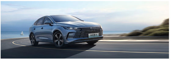 BYD Destroyer 05 DMI 120km Luxus Edition