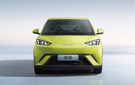 BYD Pure Electric 305KM Kompaktes Familienfahrzeug
