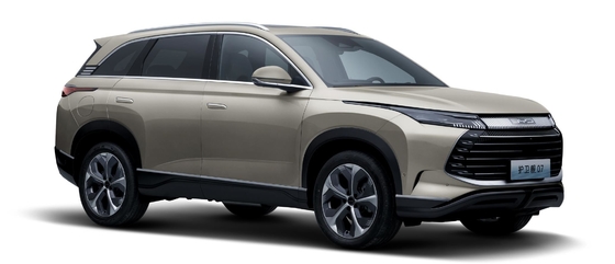 BYD Hybrid 175KM mit Vierradantrieb mittelgroßer Stadtreifen 07