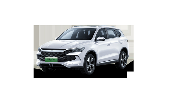 Verkaufsmeister Range 110KM hervorragender Hybrid BYD Song Pro Demi Champions Edition SUV