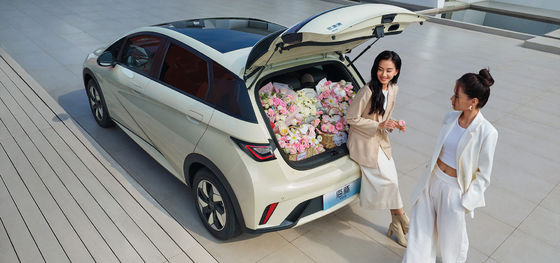 1.5L Hubraum BYD Seal06 DM-i 120KM Leading Edition