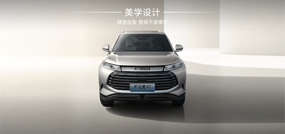 BYD Fregatte07 100 km Elite Typ