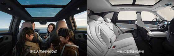 BYD Fregatte07 100 km Elite Typ