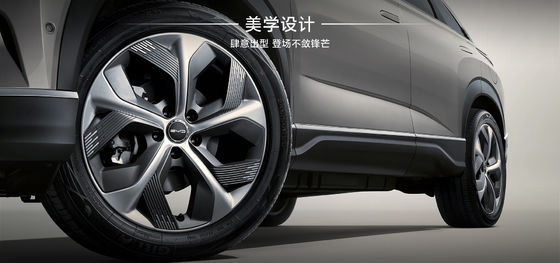 BYD Fregatte07 100 km Elite Typ