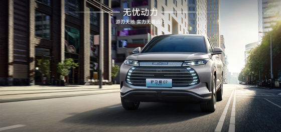 BYD Fregatte07 100 km Elite Typ